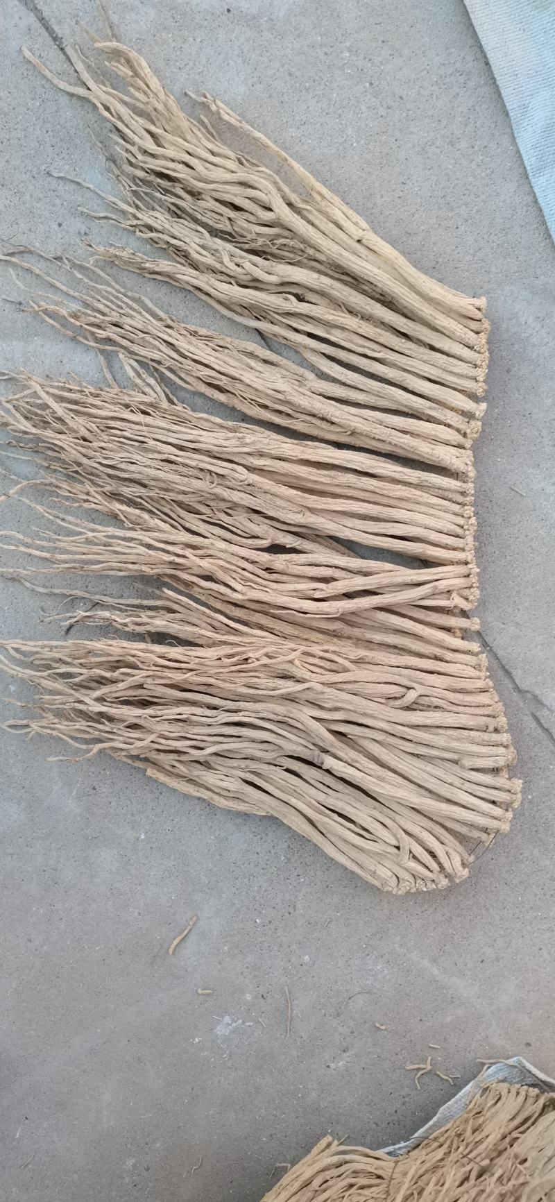 甘肃定西大中小货白条党参