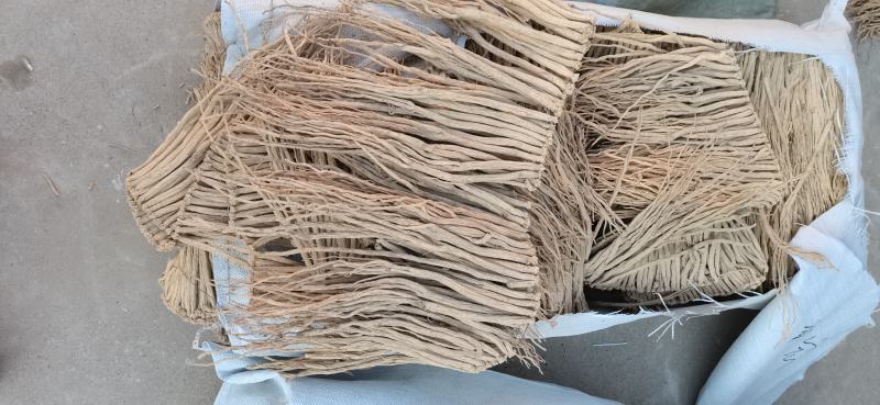 甘肃定西大中小货白条党参