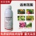 10%高效氯氟氰菊酯水乳剂杀虫药蔬菜青虫害虫蚧壳虫蚜