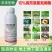 10%高效氯氟氰菊酯水乳剂杀虫药蔬菜青虫害虫蚧壳虫蚜