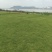台湾草卷