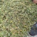 金露梅茶叶山茶