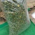 金露梅茶叶山茶