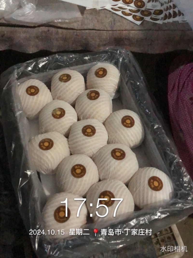自有冷库，一条龙服务产地直供一手货源秋月梨.南水梨丰水梨