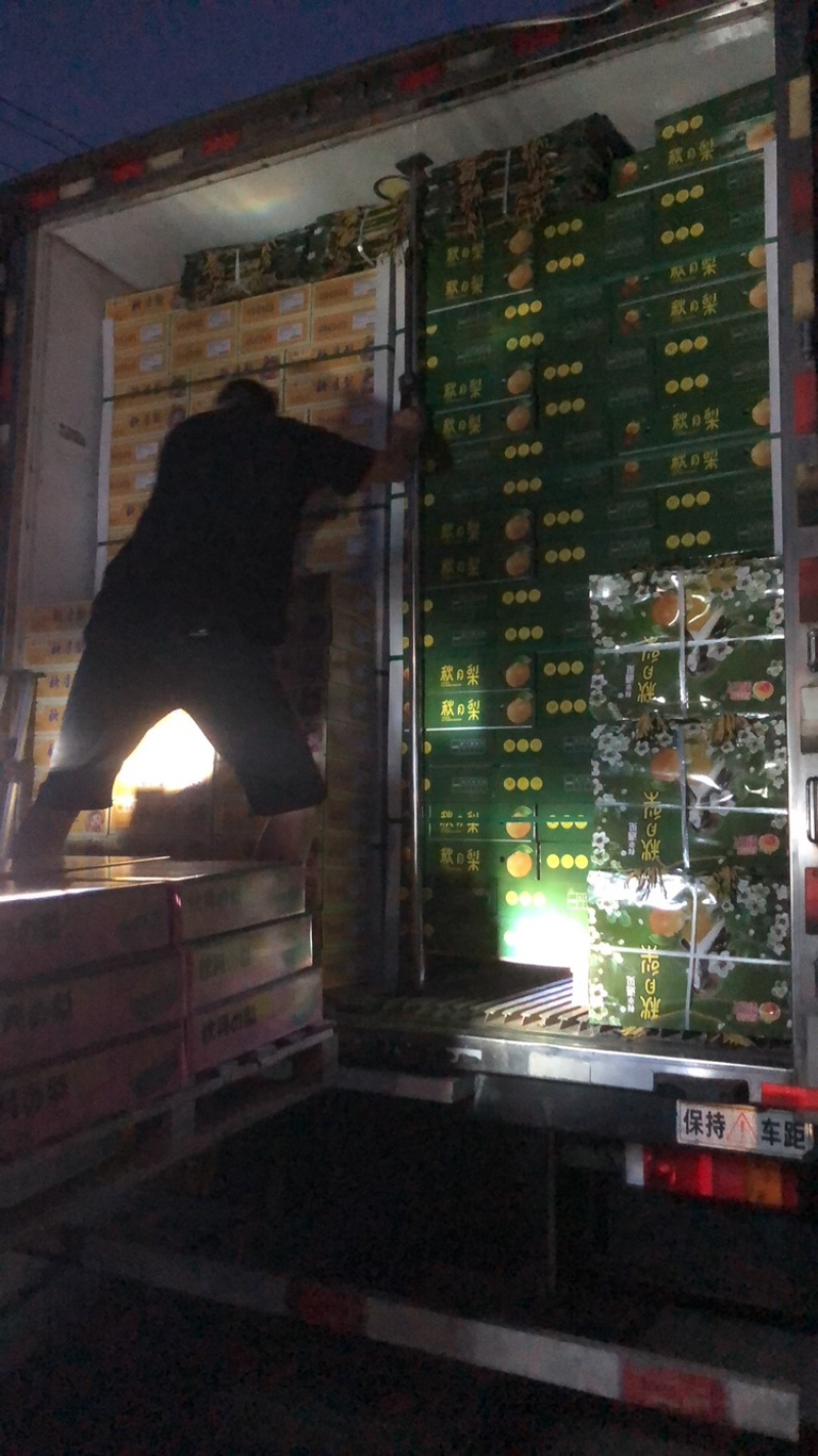 自有冷库，一条龙服务产地直供一手货源秋月梨.南水梨丰水梨