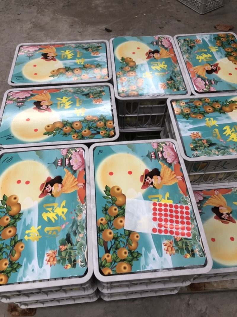 自有冷库，一条龙服务产地直供一手货源秋月梨.南水梨丰水梨