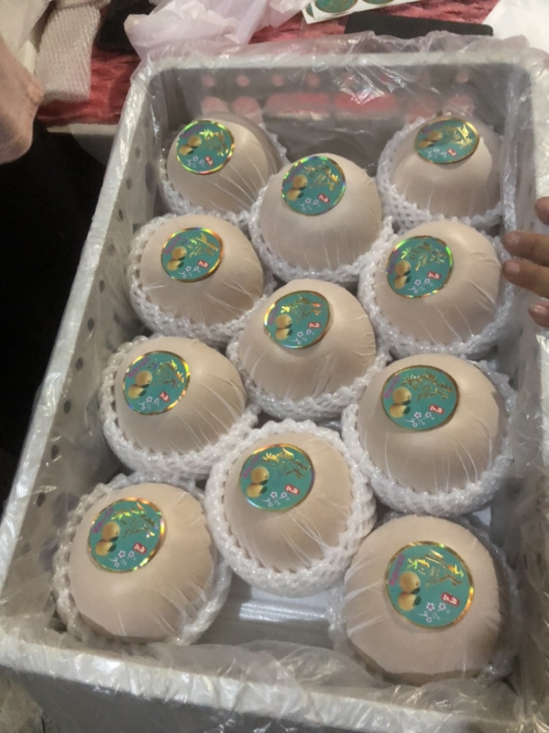 自有冷库，一条龙服务产地直供一手货源秋月梨.南水梨丰水梨