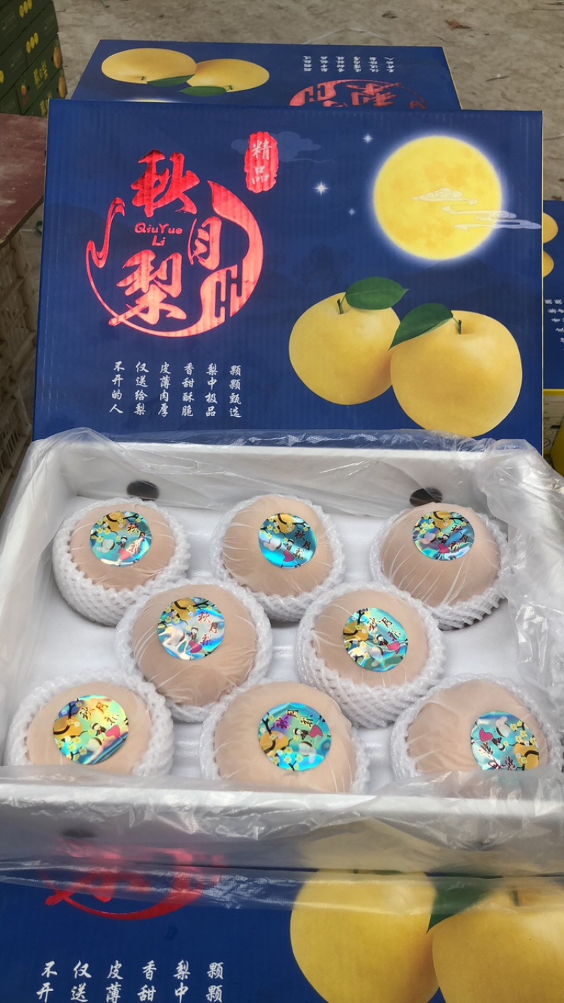 自有冷库，一条龙服务产地直供一手货源秋月梨.南水梨丰水梨