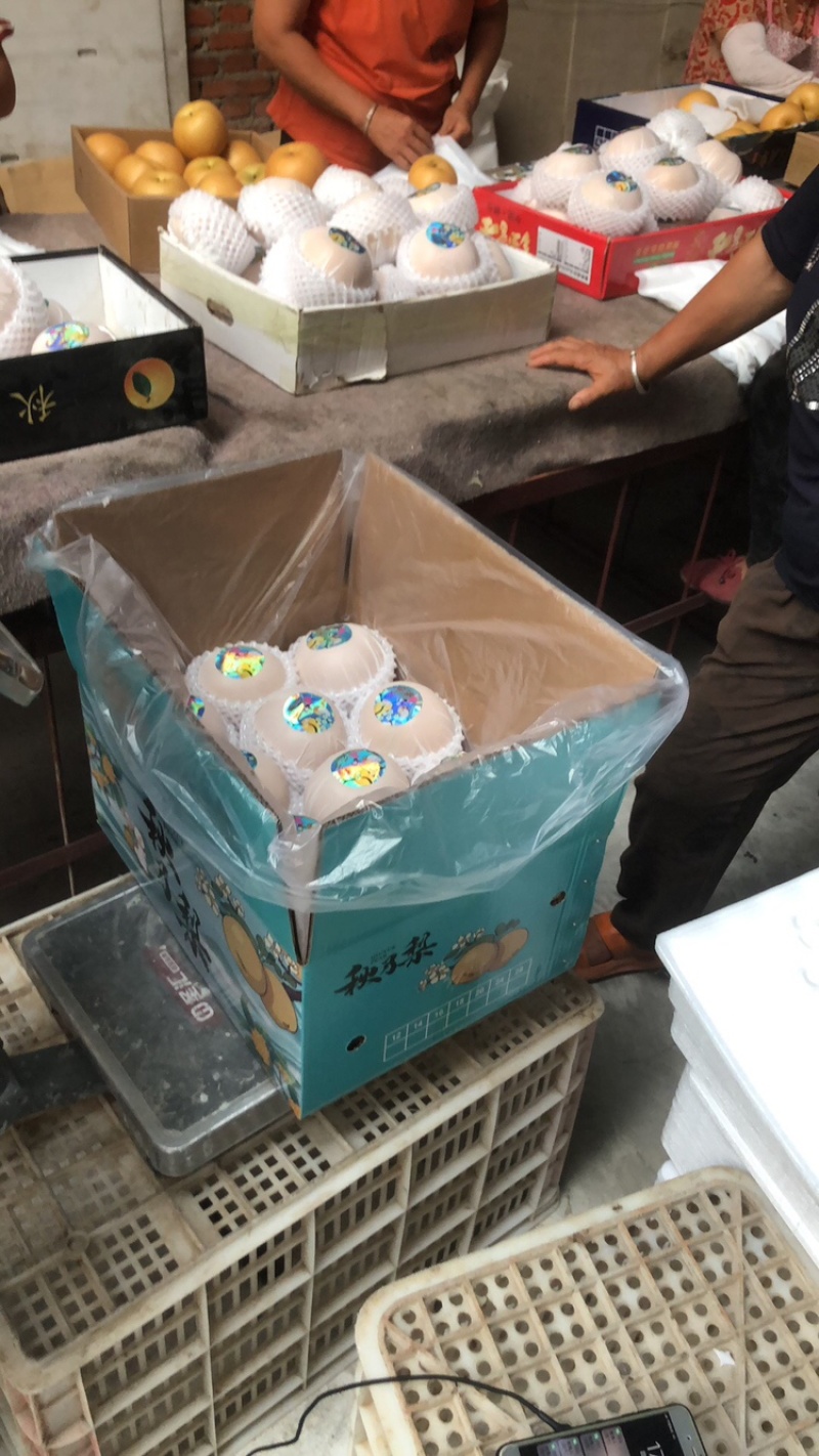 自有冷库，一条龙服务产地直供一手货源秋月梨.南水梨丰水梨