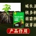 品牌生根粉强力生根壮苗增肥1000克中量元素水溶肥