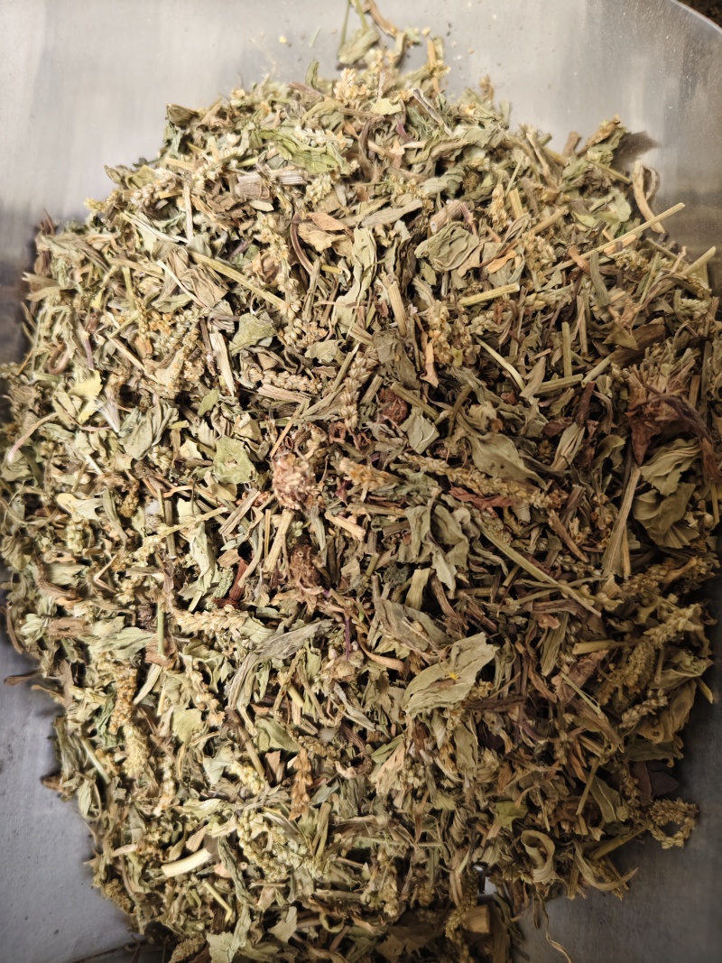 车前草颜色绿无杂质车前草段批发零售