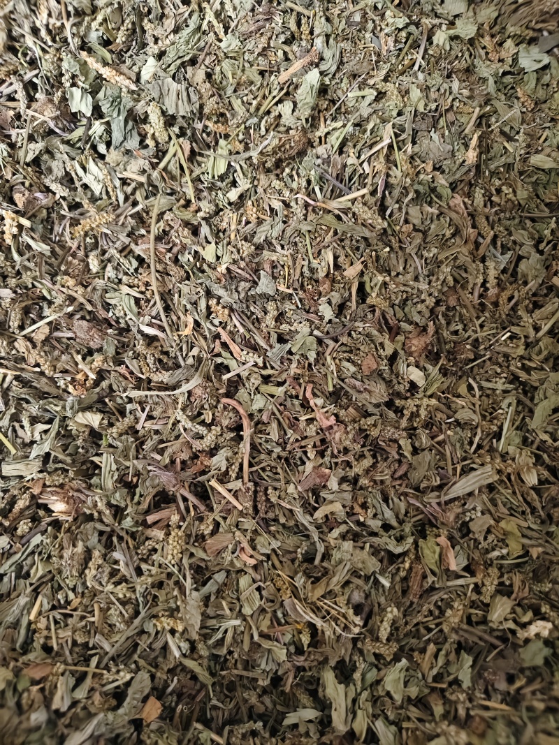 车前草颜色绿无杂质车前草段批发零售