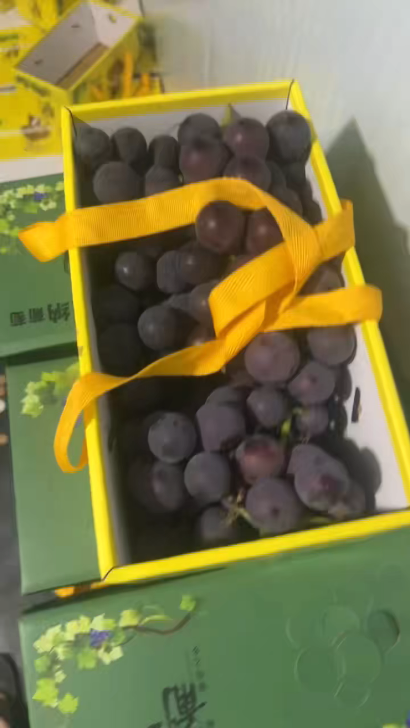浦江巨峰葡萄大吨位供应代发全国质量保证可视频看货