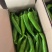 海南精品牛角椒一手货源大量供货市场电商平台