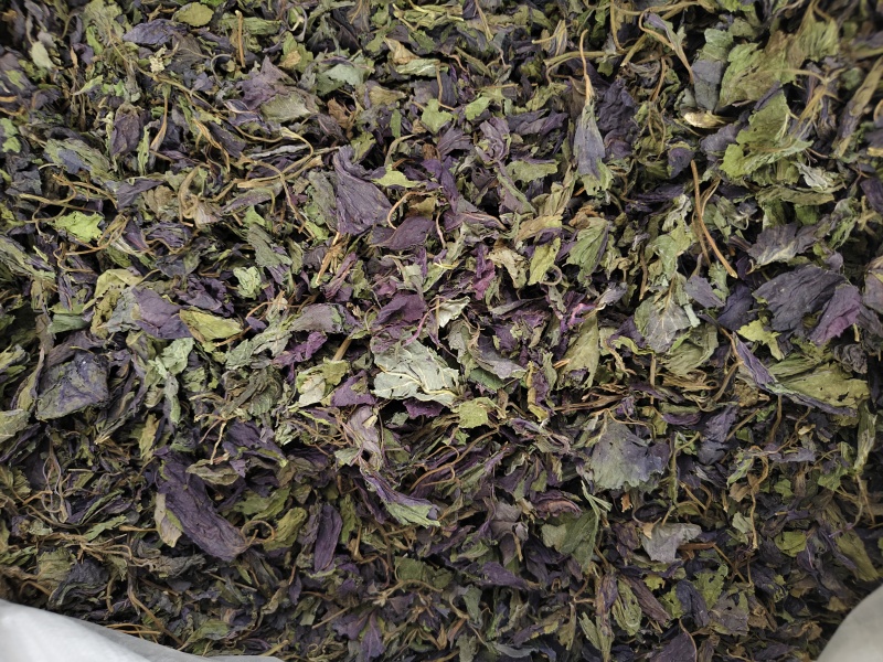 紫苏叶紫苏叶切段批发零售