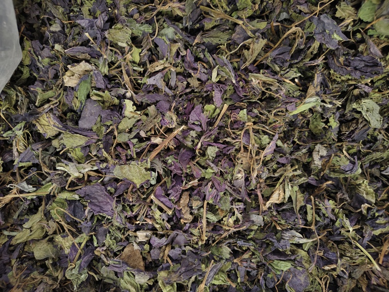 紫苏叶紫苏叶切段批发零售
