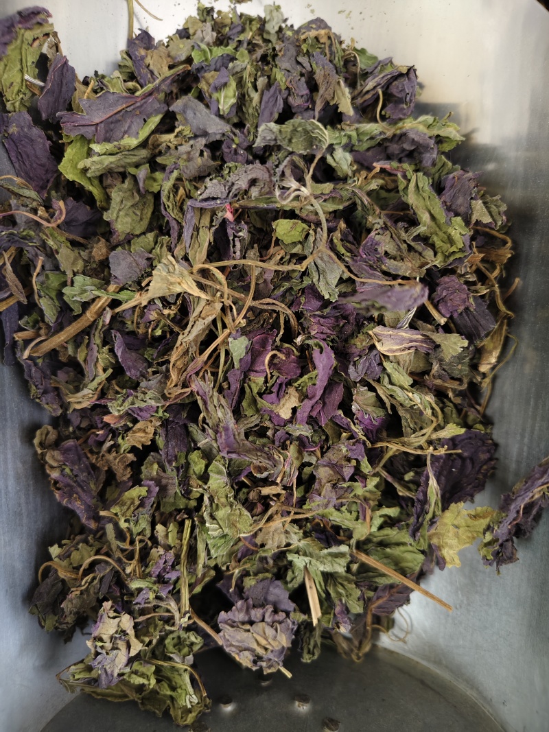 紫苏叶紫苏叶切段批发零售