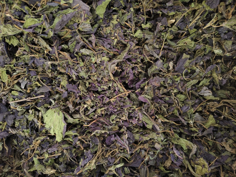 紫苏叶紫苏叶切段批发零售