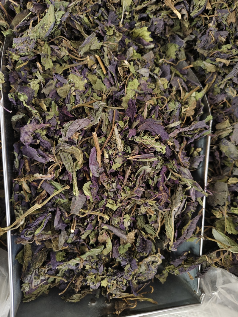 紫苏叶紫苏叶切段批发零售