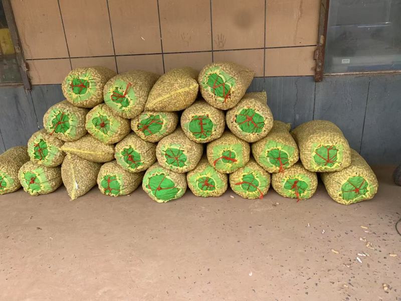 开封祥符鲜花生大白沙花生产地直供量大从优实力代发