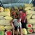 推荐开封祥符鲜花生白沙系列鲁花基地直供品质保证发全国