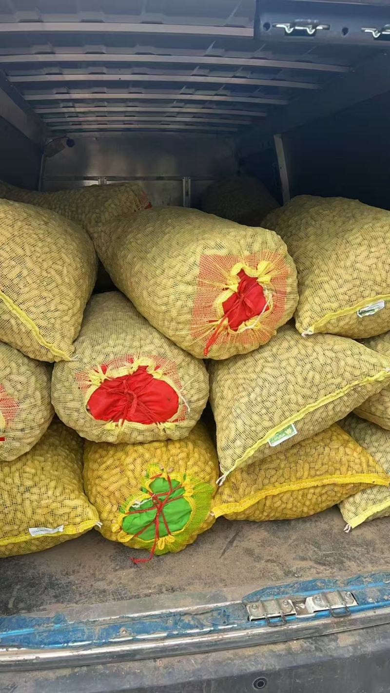 推荐开封祥符鲜花生白沙系列鲁花基地直供品质保证发全国