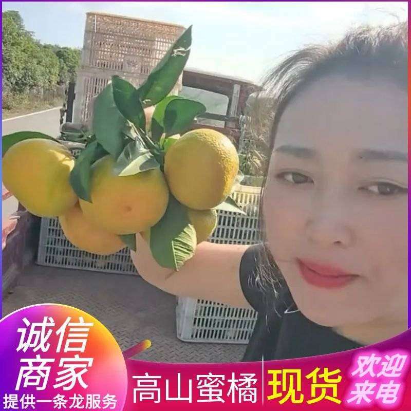《推荐》湖北蜜橘&高山蜜橘/现摘现发/特早蜜橘/全国发货