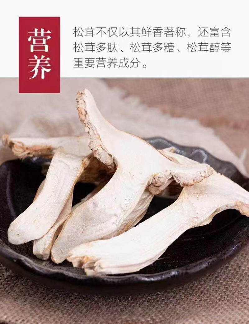 赤松茸干货内蒙赤松茸干货切片大量有货基地直供