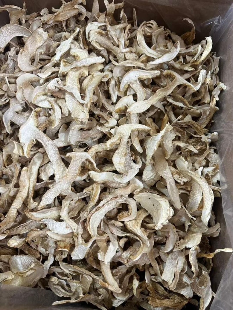 赤松茸干货内蒙赤松茸干货切片大量有货基地直供