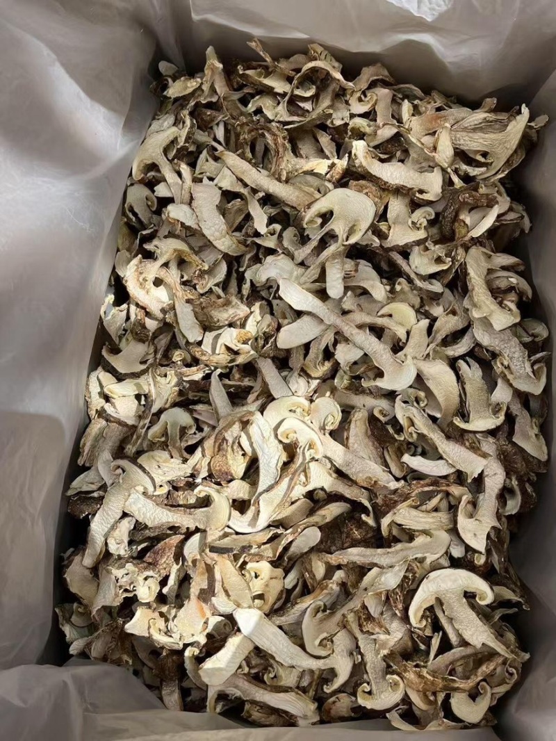赤松茸干货内蒙赤松茸干货切片大量有货基地直供