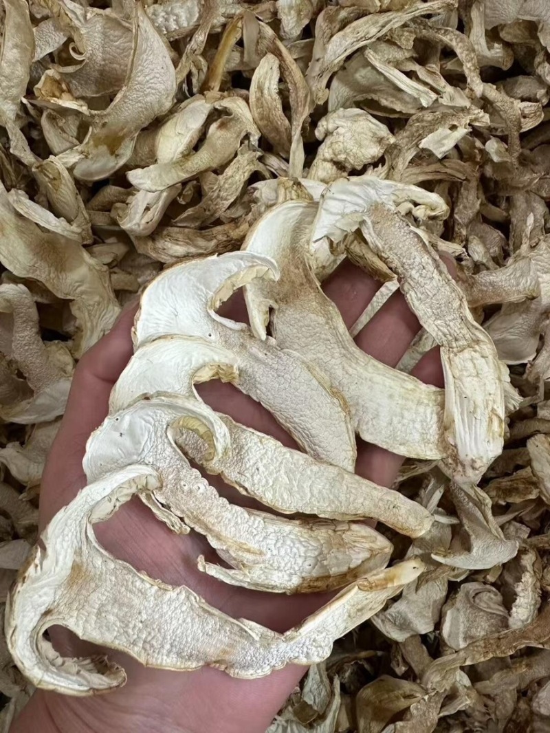 赤松茸干货内蒙赤松茸干货切片大量有货基地直供