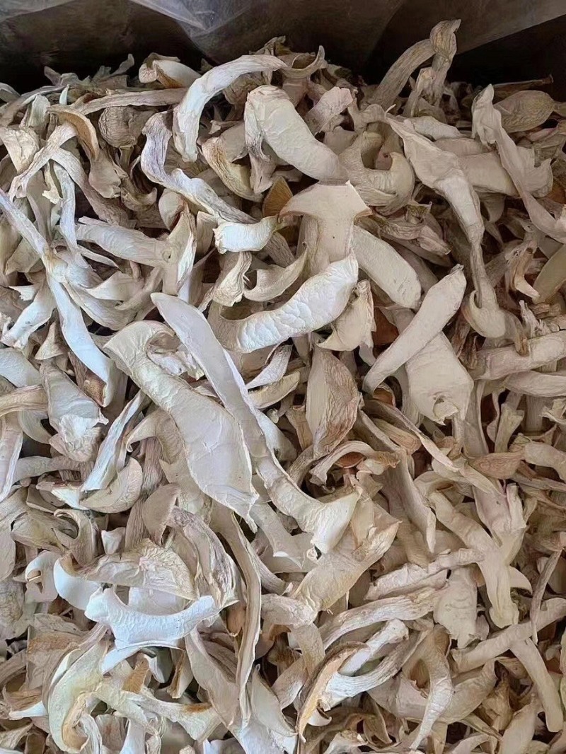 赤松茸干货内蒙赤松茸干货切片大量有货基地直供