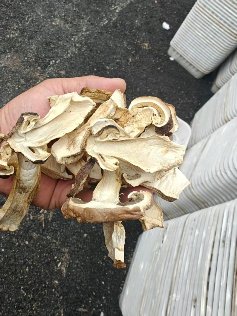 内蒙干赤松茸白片松茸干货基地直供对接市场商超