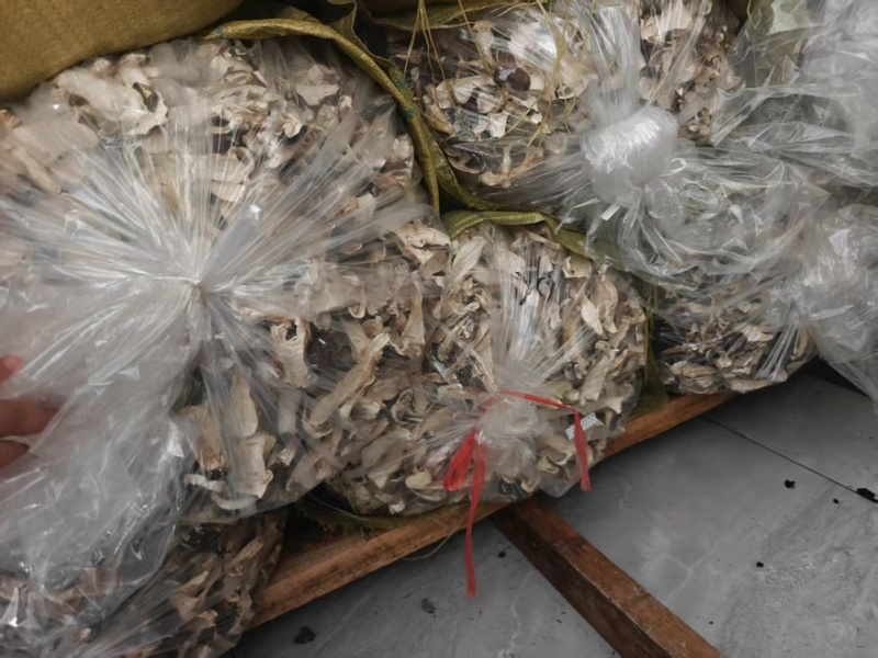 内蒙干赤松茸白片松茸干货基地直供对接市场商超