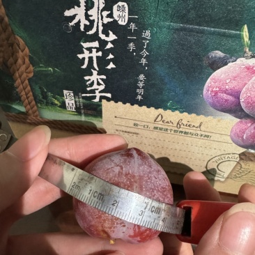 自家果园：小型号如下