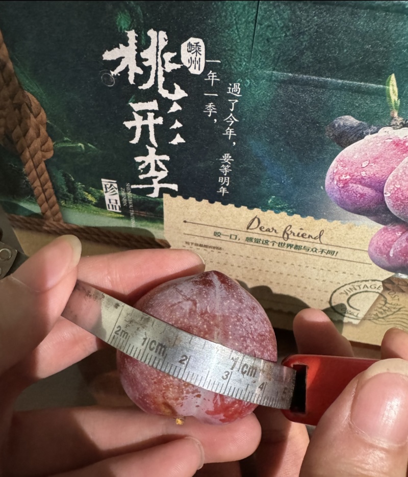 自家果园：小型号如下