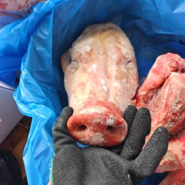猪头，整个猪头，价格便宜，**推荐