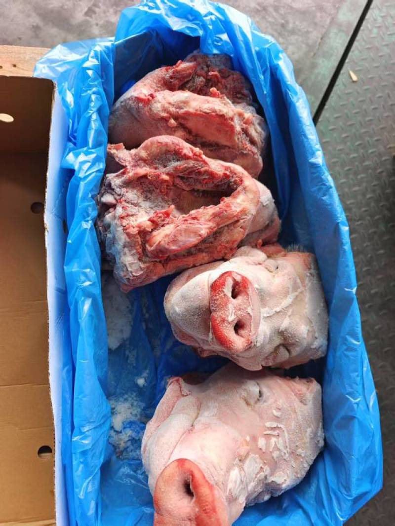 猪头，整个猪头，价格便宜，**推荐