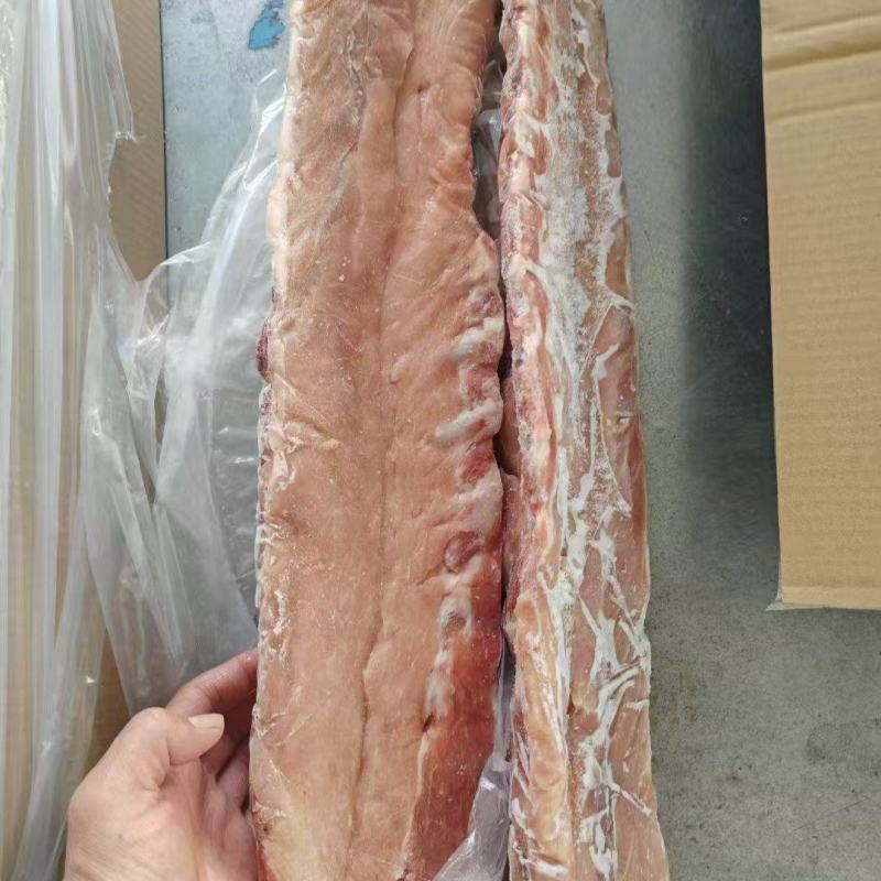 肥猪龙骨