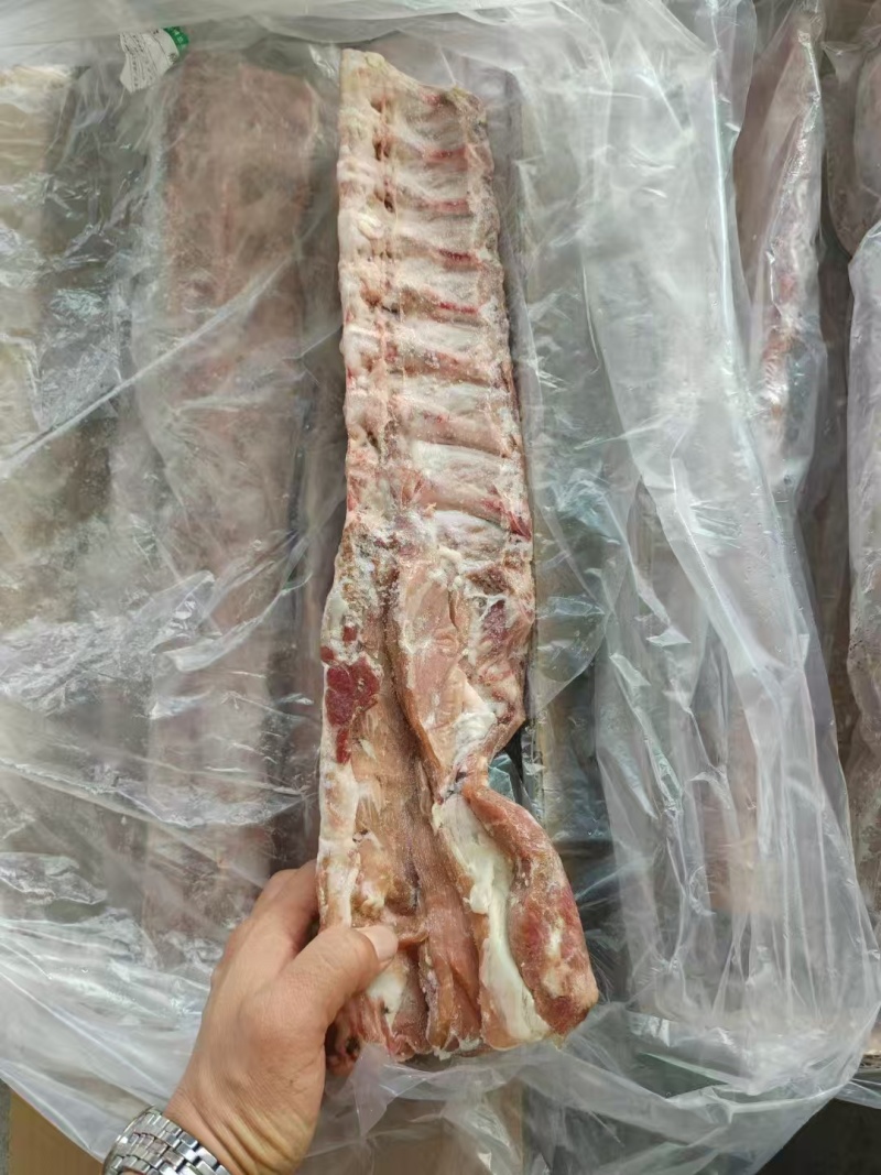 肥猪龙骨