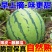 麒麟西瓜/无籽西瓜/云南西瓜/现摘现发