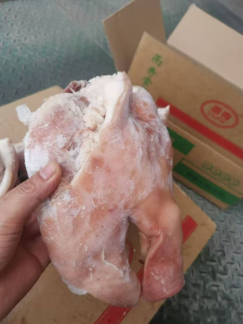雨秀猪头肉，干净无毛品质非常好，能和雨秀比较品质的厂家不