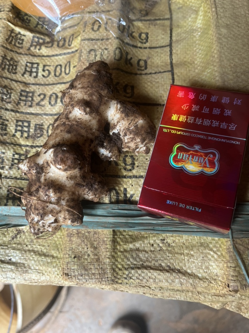 洋姜菊芋鬼子姜新鲜货出库