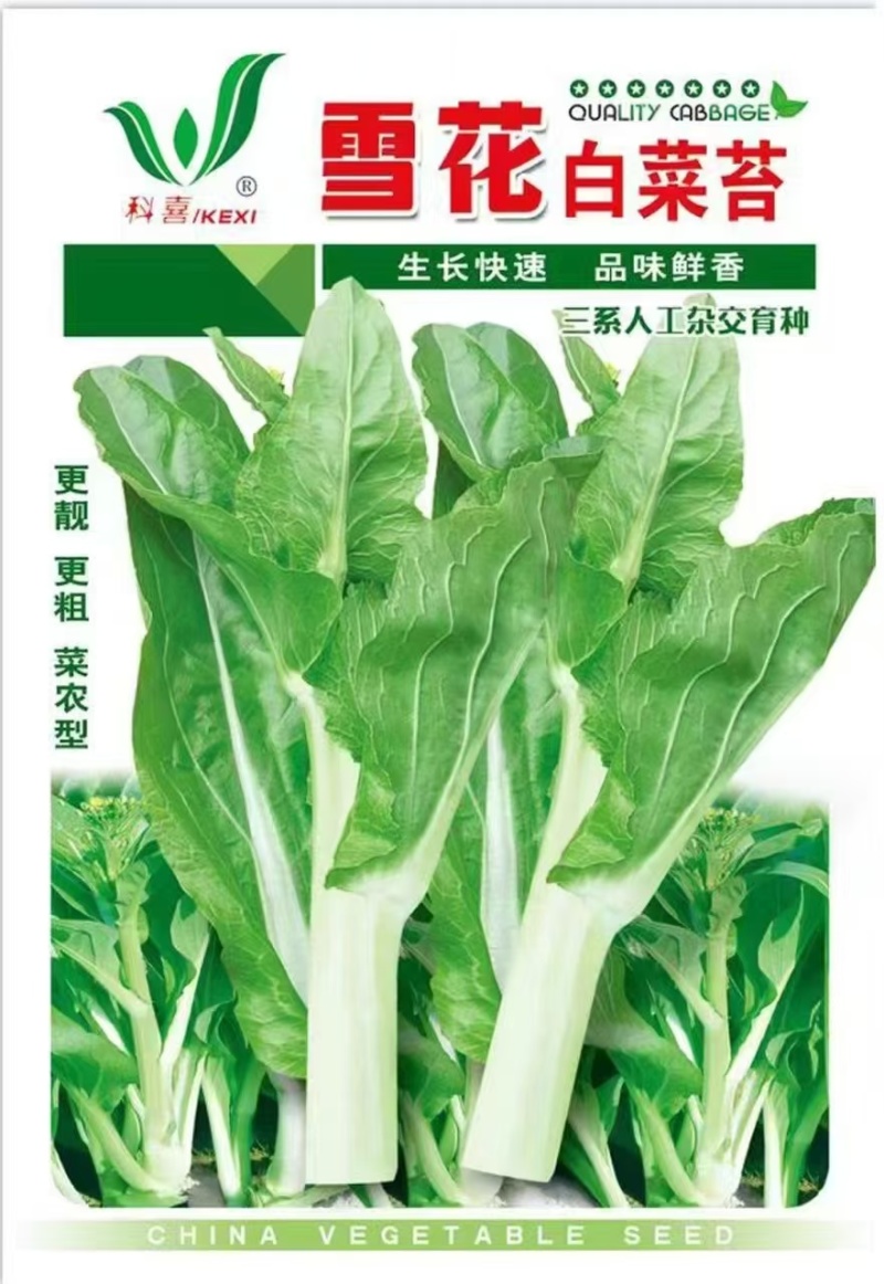 白菜苔种子雪花白菜苔早熟粗苔脆嫩好吃播种期长多次收