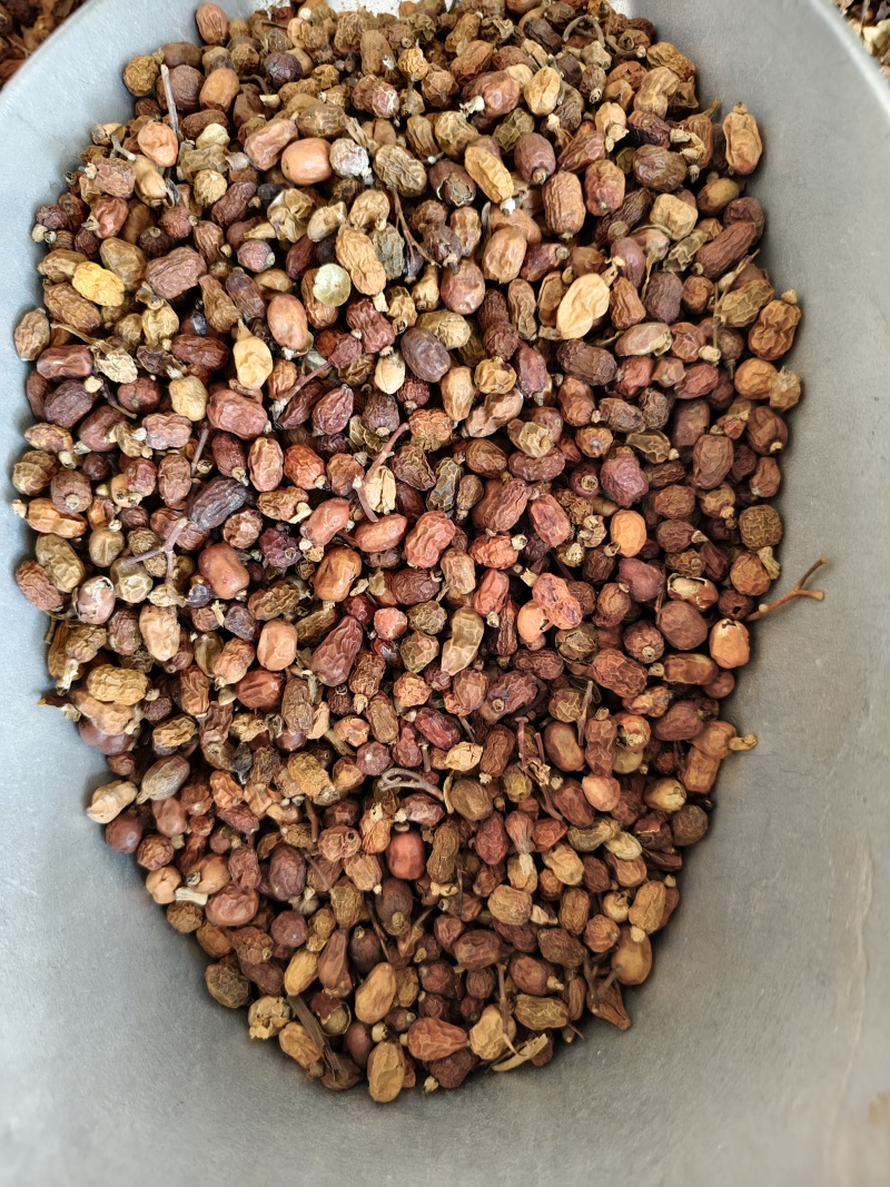 红豆蔻优质红蔲批发零售量大从优