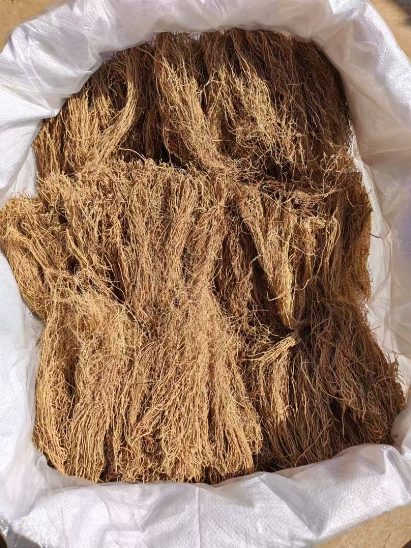 精品水洗中药材徐长卿中药根茎类徐长卿，规格齐全视频看货