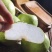 砀山酥梨产地直发一手货源价格优惠可视频看货欢迎致电