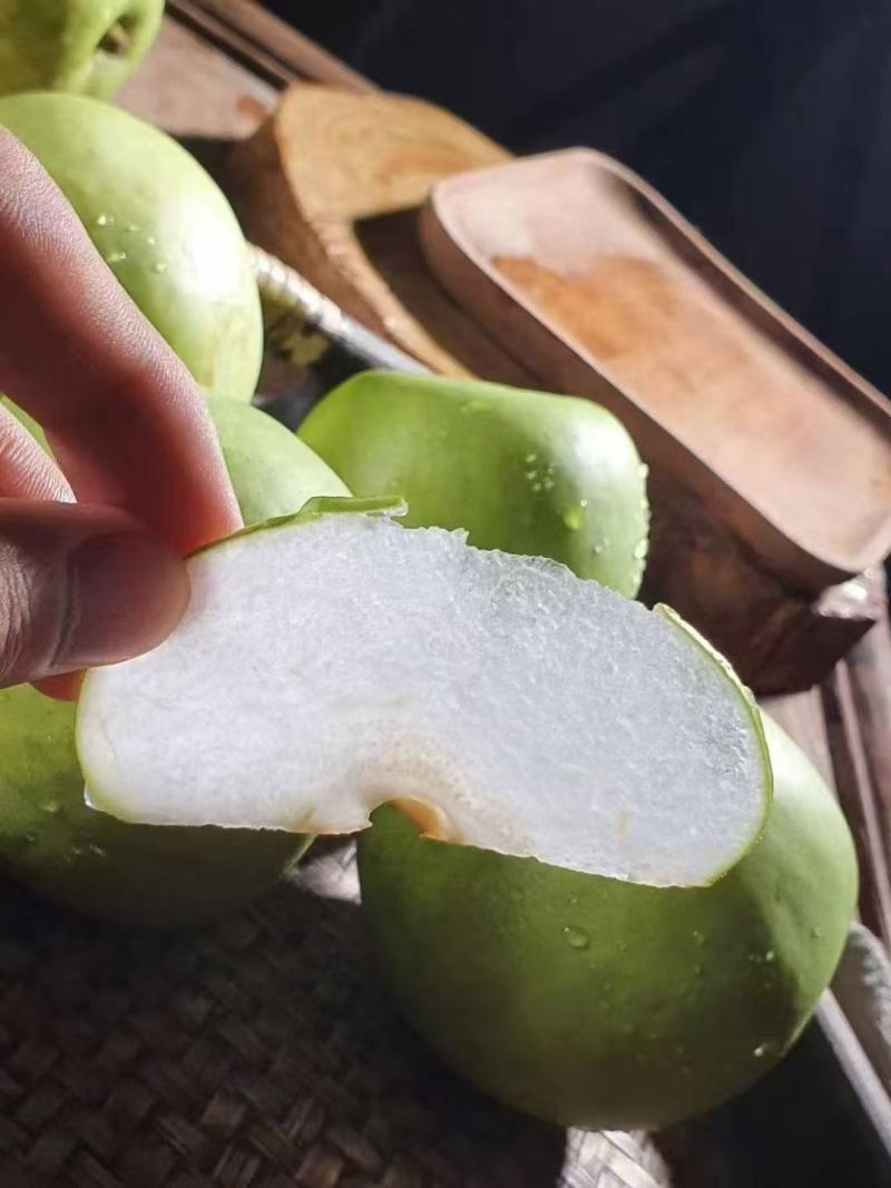 砀山酥梨产地直发一手货源价格优惠可视频看货欢迎致电