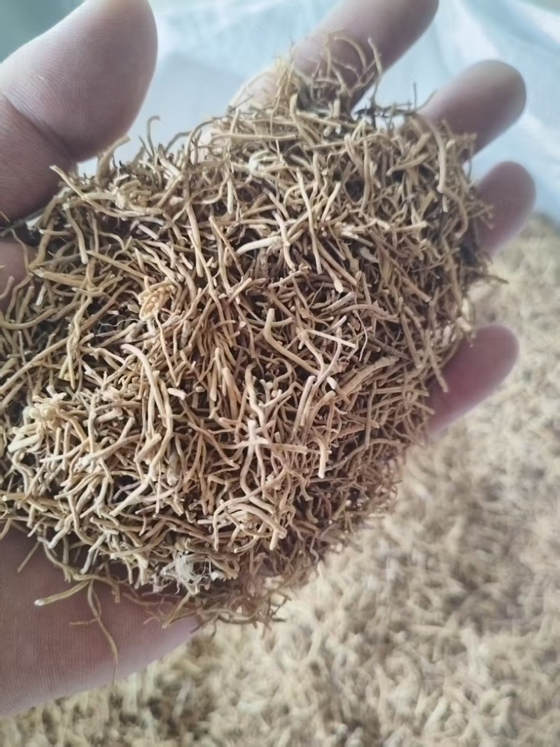 寮刁竹徐长卿产地直销自家种植有需要的老板可以联系我