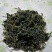 批发特级野生干灰灰菜宾馆酒店专用野菜250g/500g干菜脱